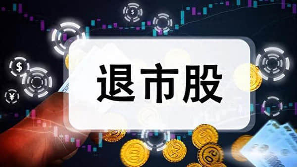 国力股份：国泰君安、国信证券等多家机构于2月28日调研我司