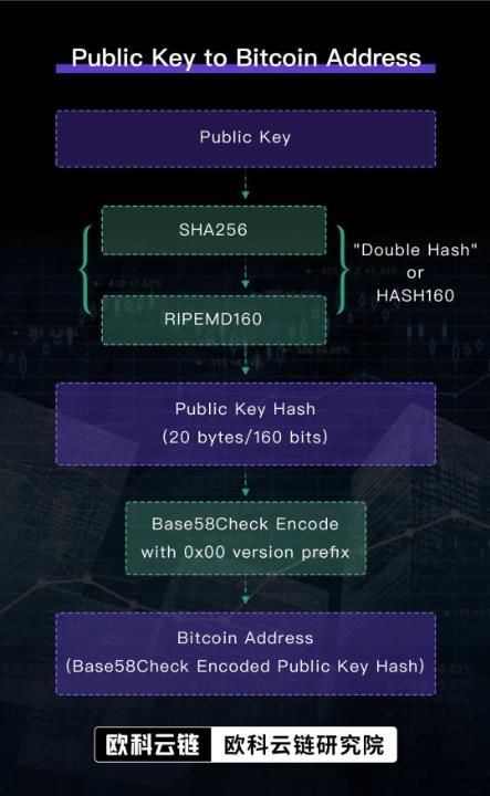 欧科云链OKLink链上科普（二）：玩转Web3，用链上数据对区块链地址进行风险评估十分重要