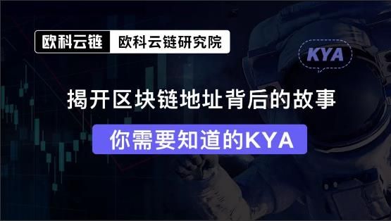 欧科云链OKLink链上科普（二）：玩转Web3，用链上数据对区块链地址进行风险评估十分重要