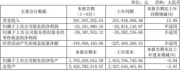 嘉和美康上半年亏损经营现金流连负6年半 IPO超募5亿