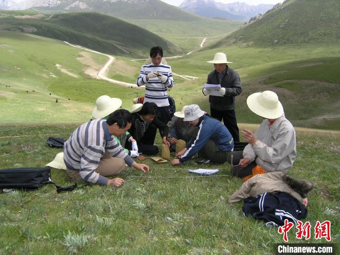 清华大学对口援青：二十二年，浇灌青海“格桑花”