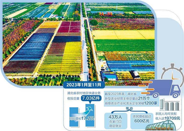 全面振兴开新局――湖北深入实施强县工程