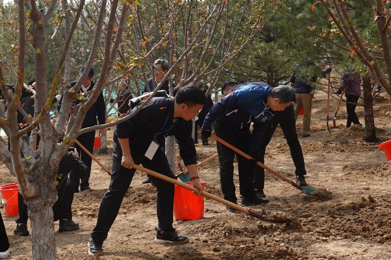 组图：107名部级领导干部在京参加义务植树活动